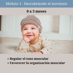 alivos-escuela-modulos-(1)